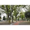 公園