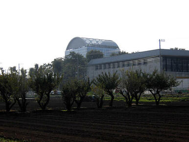 私立武蔵野美術大学