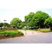 公園