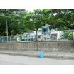 幼稚園、保育園