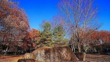 智光山公園