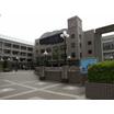大学