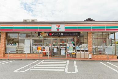 セブンイレブン岩槻南平野店