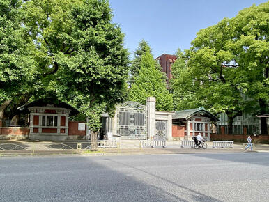 東京大学