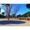 公園