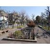 公園