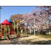 公園