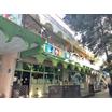 幼稚園、保育園