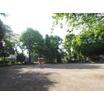 公園
