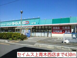 セイムス上青木西店