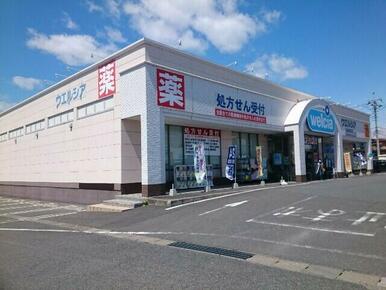 ウエルシア高崎棟高店