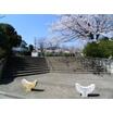 公園