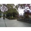 公園