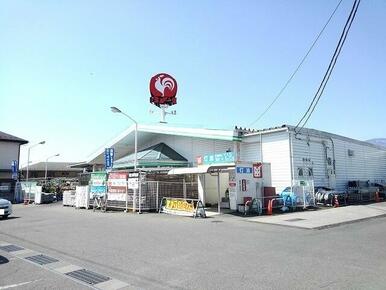 コメリハード＆グリーン敷島店