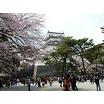 公園