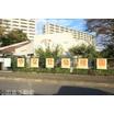 幼稚園、保育園