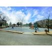 公園