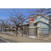 幼稚園、保育園