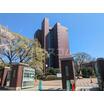 大学