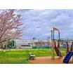 公園