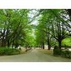公園