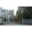 大学